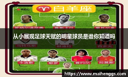 zoty中欧有限公司