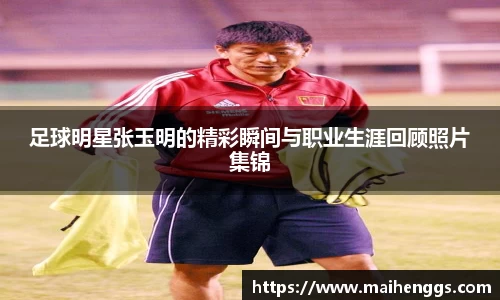 zoty中欧官网入口