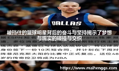 zoty中欧有限公司